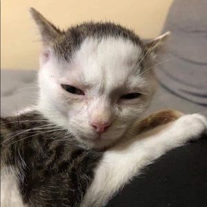 Meet your Posher, Noah